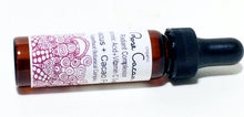 Cargar imagen en el visor de la galería, HIBISCUS VITAMIN C + CACAO & Hyaluronic Acid Face Serum