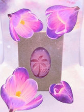 Cargar imagen en el visor de la galería, GERANIUM & FRENCH CLAY Coconut Soap